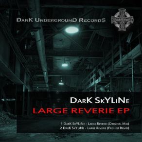 Download track Large Reverie (Freiheit Remix) Dark Skyline