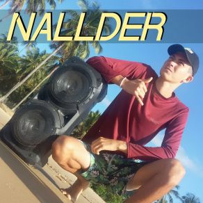 Download track Ela Provoca Nallder