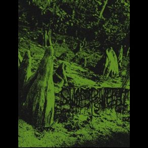 Download track Novem Swamp Witch