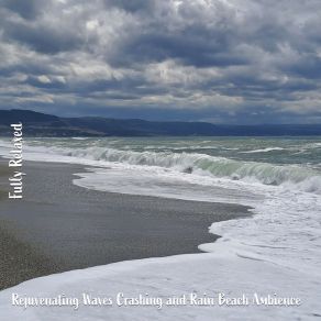 Download track Rejuvenating Waves Crashing And Rain Beach Ambience, Pt. 12 Steve Brassel