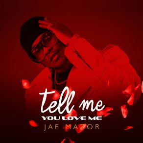 Download track Tell Me You Love Me (Euro Freestyle Energy Radio Edit) Jae Mazor