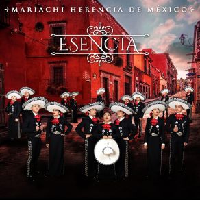 Download track Cucurrucucu Paloma Mariachi Herencia De Mexico