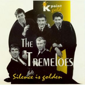 Download track My Little Lady The Tremeloes