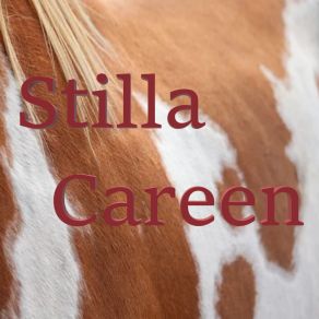 Download track Jump Stilla Careen