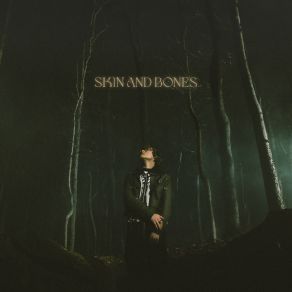 Download track Skin And Bones David Kushner