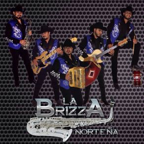 Download track Veinticinco Horas La Brizza Norteña