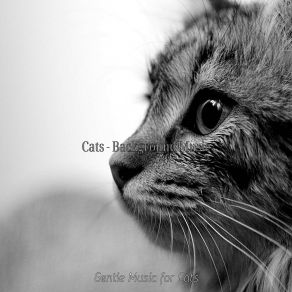 Download track Memories (Relaxing Cats) Gentle Music For Cats