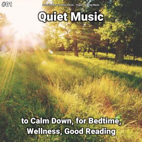 Download track Quiet Music, Pt. 3 Relaxing Music