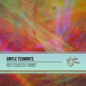 Download track Not Exactly Funny (Original Mix) Gintle Tesmonts