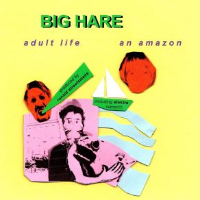 Download track Adult Life Big Hare