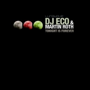 Download track Tonight Is Forever (Martin Roth Mix) Dj Eco