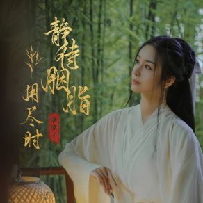 Download track 静待胭脂用尽时 欣欣子