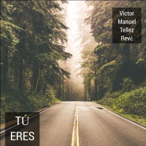 Download track Tú Eres Victor Manuel Tellez Revé