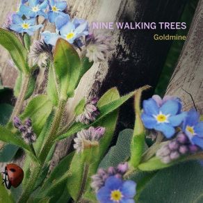 Download track Rockhouse Nine Walking Trees