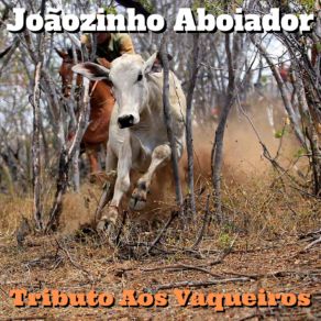 Download track Amigos De Toritama Joãozinho Aboiador