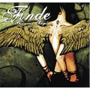 Download track Radio Finde