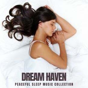 Download track Quiet Forest Streams Peaceful Sleep Music Collection