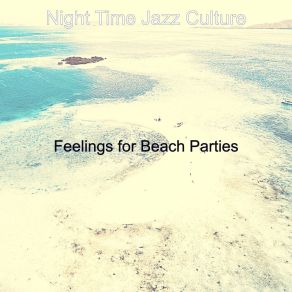 Download track Mellow Ambiance For Beach Parties Night Time