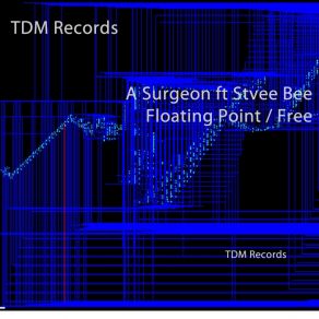 Download track Floating Point A Surgeon, Stevie Bee