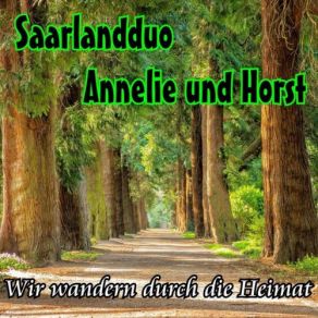 Download track Goslar, Du Perle Vom Harz Horst, Saarlandduo Annelie