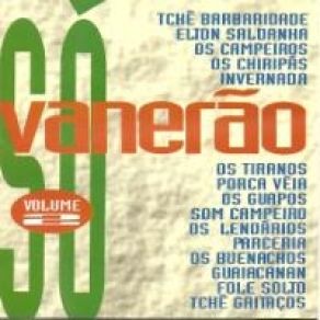 Download track Fandango Das Querendonas Grupo Invernada