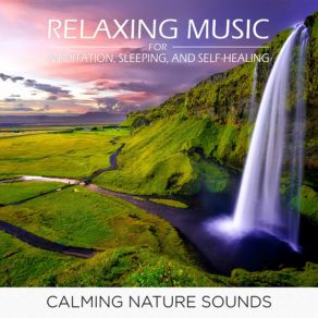 Download track Deep Night Calmness Calming Nature Sounds