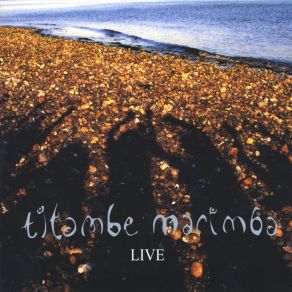 Download track Talking Drum Solo Titambe Marimba