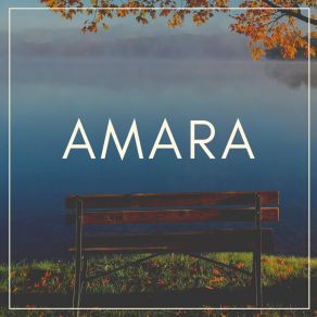 Download track At The End Of Time Amara