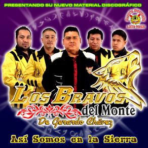 Download track Chaparrita Vengo A Verte Los Bravos Del Monte De Gerado Chavez