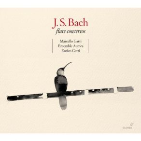 Download track 8. Ouverture In B Minor BWV1067 - 2. Rondeau Johann Sebastian Bach