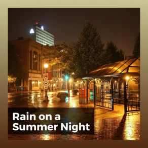 Download track Night New York Rain Night Rain