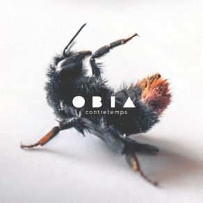 Download track Contretemps Obia