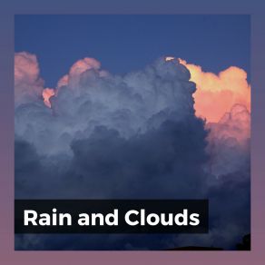 Download track Gentle Raindrops, Pt. 19 Recording Nature