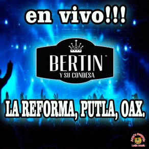 Download track Julia (En Vivo) Bertin