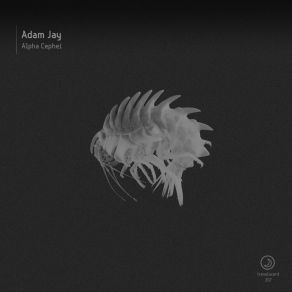 Download track Alpha Cephei Jay Adam