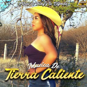 Download track Mi Botella Y Yo Románticos De Tierra Caliente