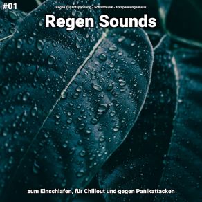 Download track Regen Sounds, Pt. 68 Entspannungsmusik