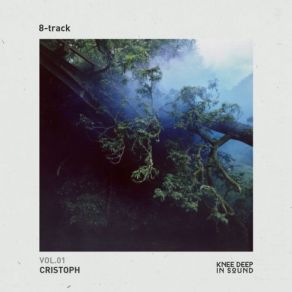 Download track 8-Track (Continuous Mix) Cristoph