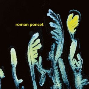 Download track For Once We Saw The Light Roman Poncet