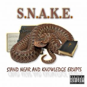 Download track On You S. N. A. K. E. Da Great