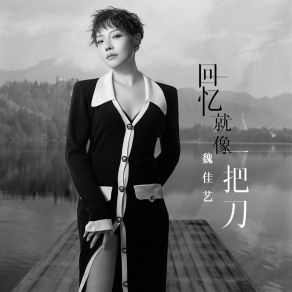 Download track 回忆就像一把刀 (伴奏) 魏佳艺