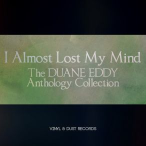 Download track I Almost Lost My Mind Duane Eddy