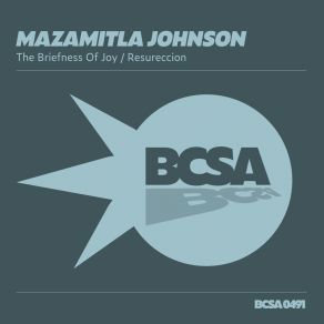 Download track The Briefness Of Joy Mazamitla Johnson