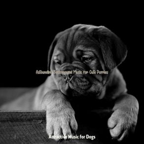 Download track Divine Moods For Lonely Dogs Attractive Music For Dogs