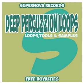 Download track Deep Percuzzion Loops 128 (Tool 14) Patrick Seeker