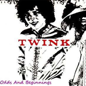 Download track The Snake (Electro Remix) Twink