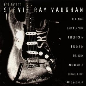 Download track Ain'T Gone 'N Give Up On Your Love Stevie Ray Vaughan