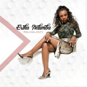 Download track Novos Tempos Erika NelumbaPaulo Flores