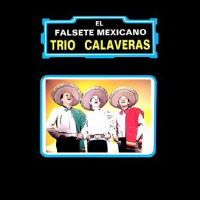 Download track Ya La Pagarás Con Dios Trío Calaveras