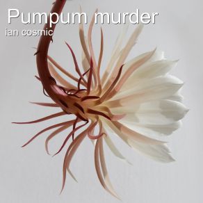 Download track Pumpum Murder Ian Cosmic